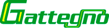 Logo Gattegno