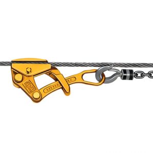 Grenouilles de tirage